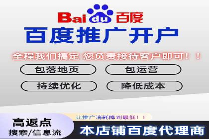 百度竞价排名策略：看这家公司如何逆袭